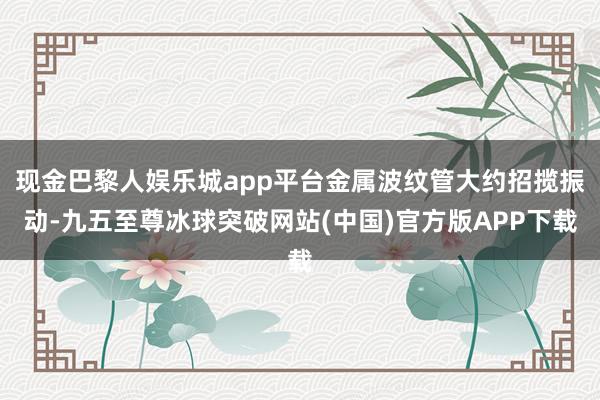 现金巴黎人娱乐城app平台金属波纹管大约招揽振动-九五至尊冰球突破网站(中国)官方版APP下载