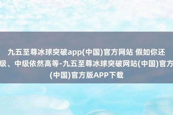 九五至尊冰球突破app(中国)官方网站 假如你还在纠结考低级、中级依然高等-九五至尊冰球突破网站(中国)官方版APP下载